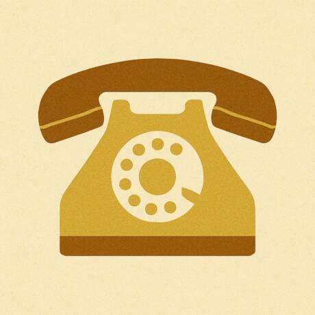 Voice Consultation Package